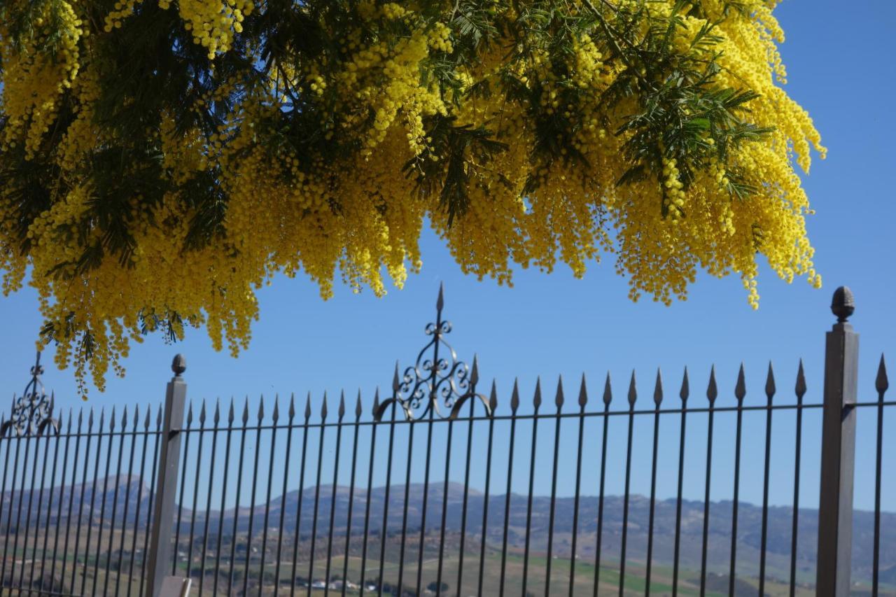 La Escondida Ronda, B&B Екстериор снимка